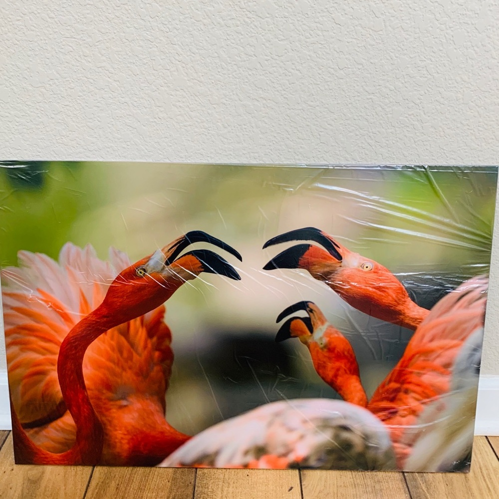 Photograph: Photo date with Flamingos Denver Zoo